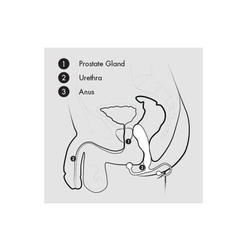 Aneros MGX Trident Prostate Massager - Image 4